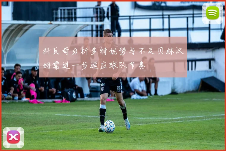 科瓦奇分析多特优势与不足贝林汉姆需进一步适应球队节奏