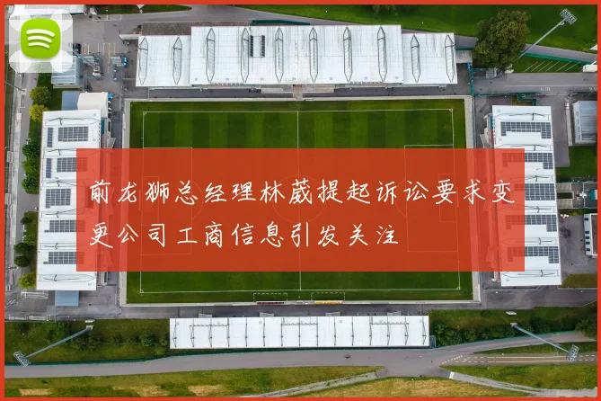 前龙狮总经理林葳提起诉讼要求变更公司工商信息引发关注